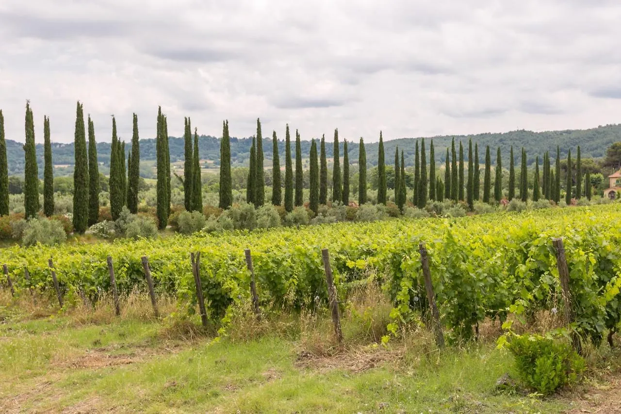 Le Camere del Relais La Pieve Vecchia Riparbella 0*,